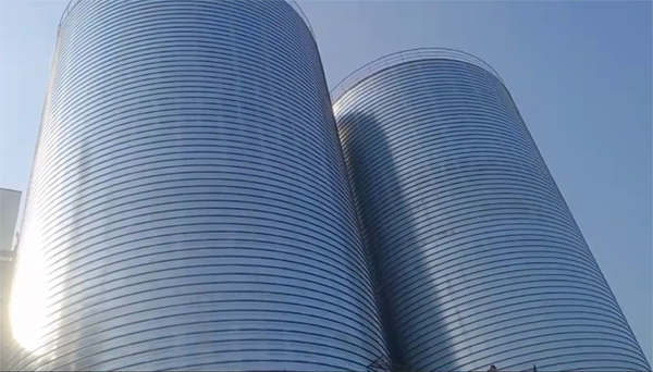 酉阳2座混凝土高架卷板仓